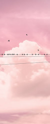 Cloud Wire