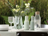 Summer Glade