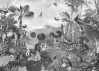 Flora and Fauna
