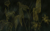 Darkest Green