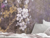 Hanami