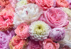 Vibrant Spring