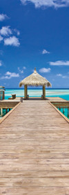 Beach Resort