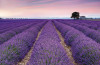 Provence