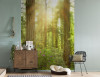Redwood