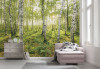 Birch Trees