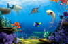 Finding Dory
