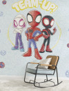 Marvel Spidey and his Amazing Friends Team Up