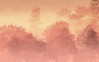 Heartwood