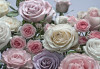 Floraison