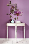 Orchidee