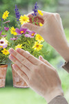 Springtime