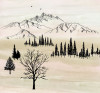 Backcountry