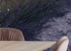 Lavender Dream