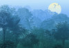 Deep in the Jungle