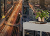 Level 43