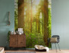 Redwood
