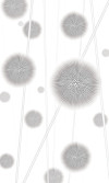 Allium