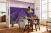 Provence