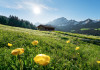 Alpenglück