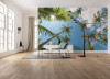 Coconut Heaven II 