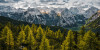 Wild Dolomites