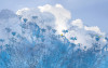 Blue Sky II
