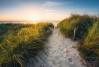 Way to the Beach