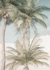 Palm Oasis