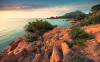 Paradiso II