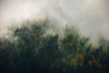 Tales of the Carpathians
