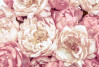 Peonies