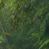 Vert Intense
