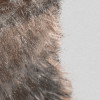 Bearava