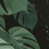 Novel Monstera