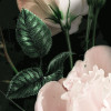 Flower Couture