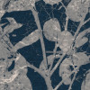 Branch