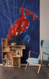 Marvel Spider-Man Spider Web