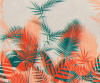 Tropical Trip