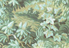 Botanique Vert