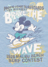 Mickey Brave the Wave