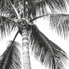 Retro Palm