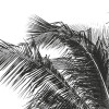 Retro Palm