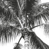 Retro Palm
