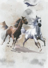 Wild Ride