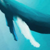 Artsy Humpback Whale