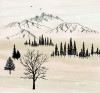 Backcountry
