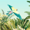 Jungle Expedition