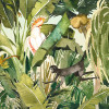 Jungle Expedition