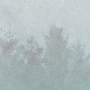 Hazy Hush